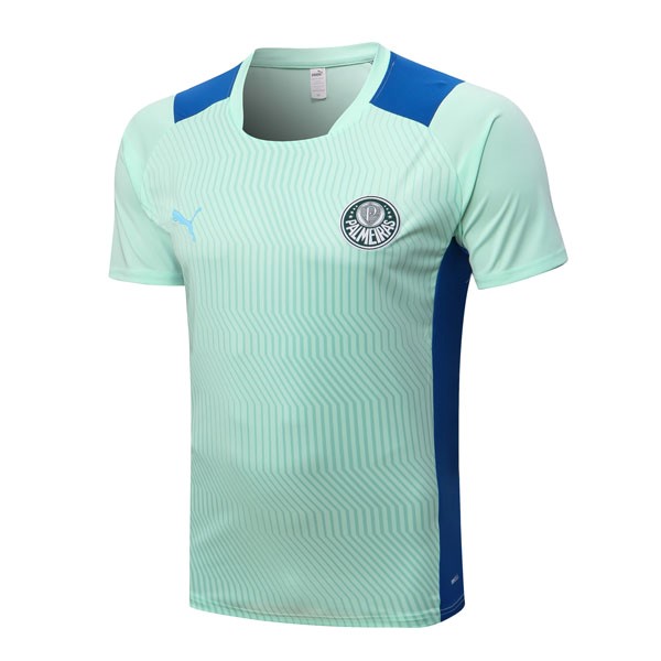 Camiseta Entrenamien Palmeiras 2022/23 Verde